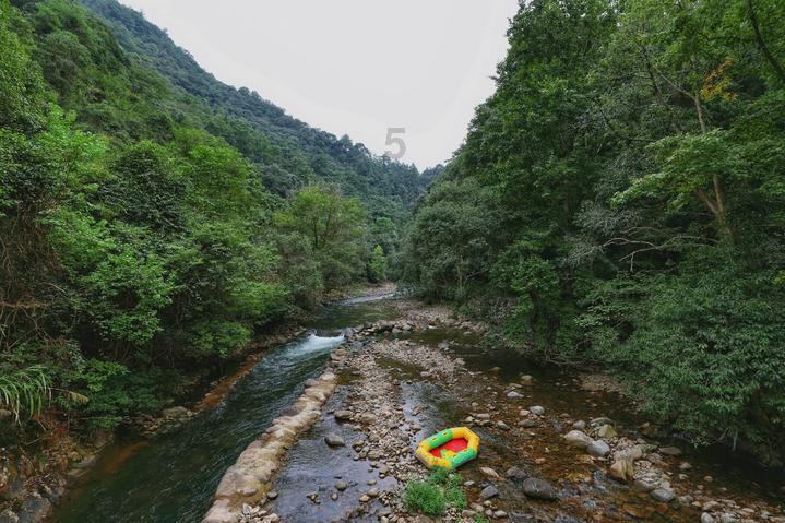 新河县政协委员李龙:加大特色农业保险保障